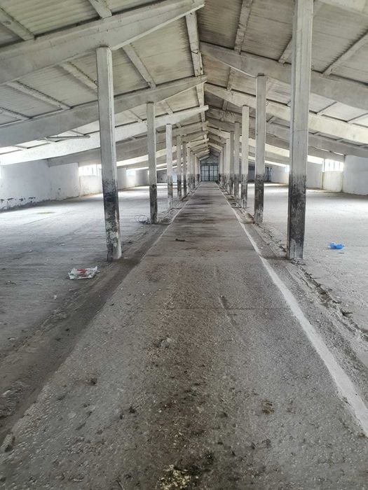 Ferma de vanzare,parc logistic 55000 mp FILIPESTI E85 ,15 KM DE BACAU