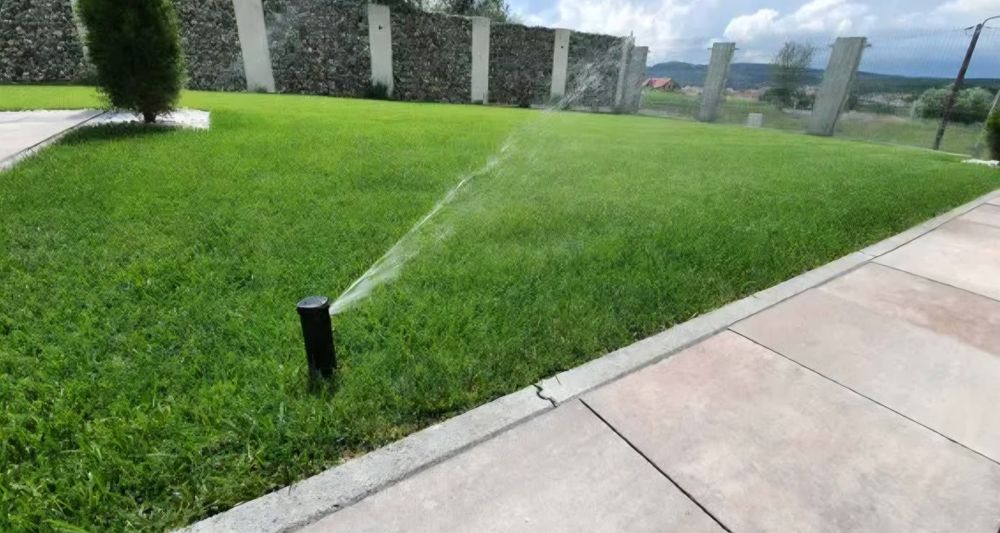 Amenajare gradina gazon rulou si plante ornamentale