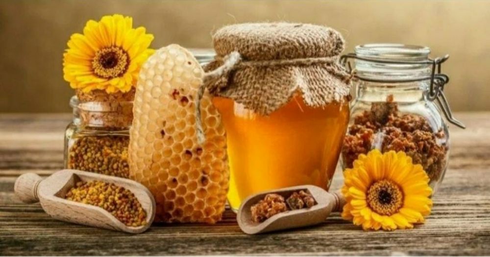Мёд, пыльца прополис