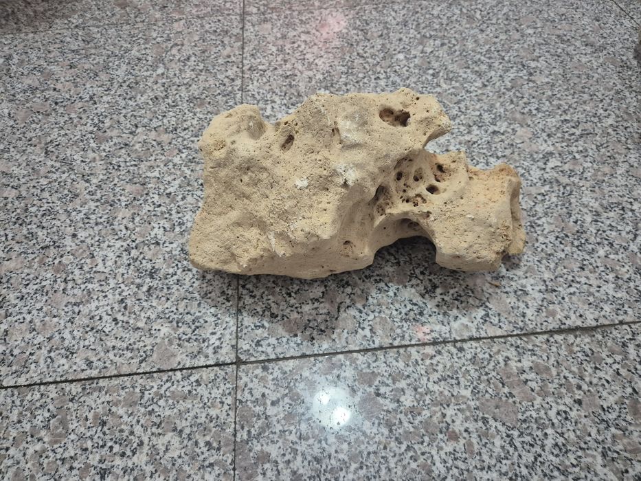 Piatra decorativa acvariu