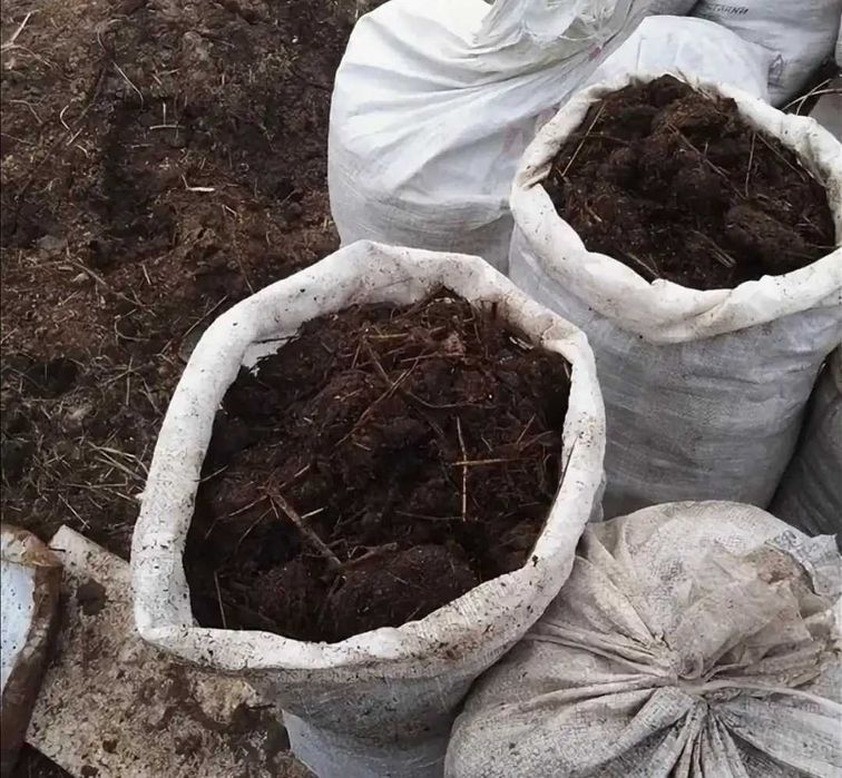 Навоз в мешках можно хранить. Перегной в мешках. Перегной в мешках. Навоз вкусняшка. Объявления навоз ишим.