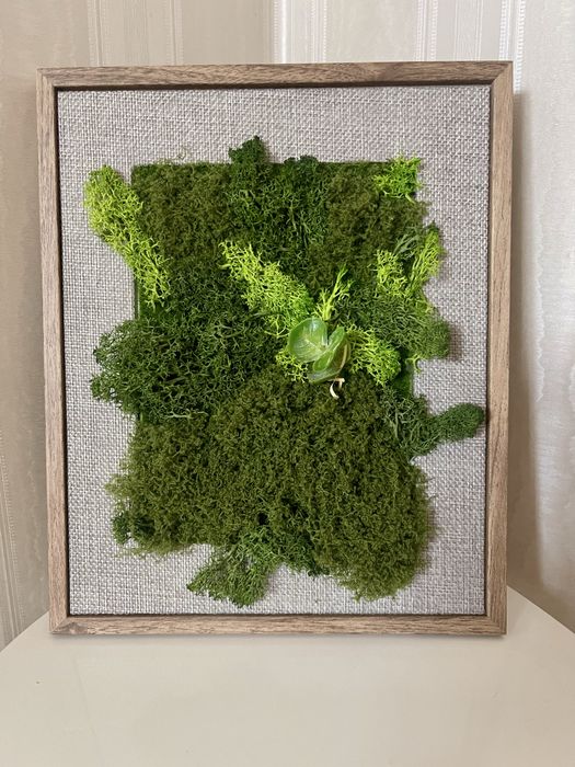 Зелена картина/пано от скандинавски мъх