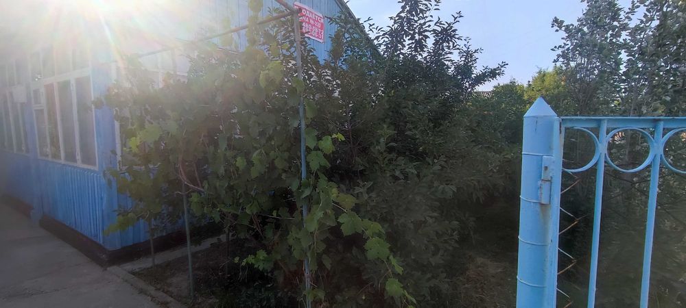 6 sotix Dacha sotiladi Parkent tumani soy boyida