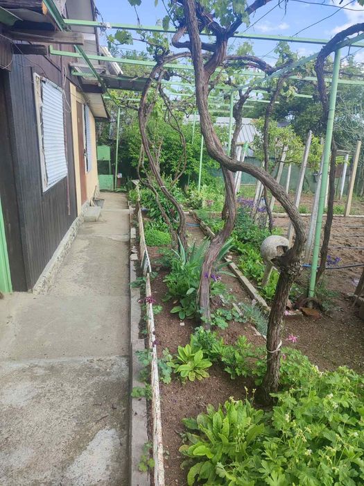 Вила с дворно място