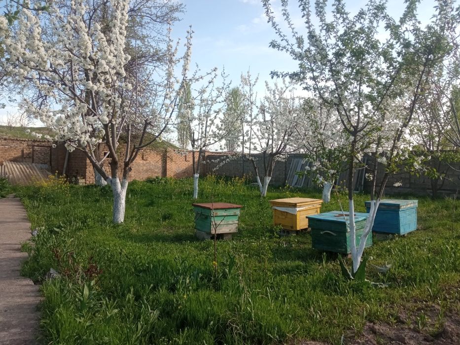 Продаетса участок 29.2 сотки в дачном поселке