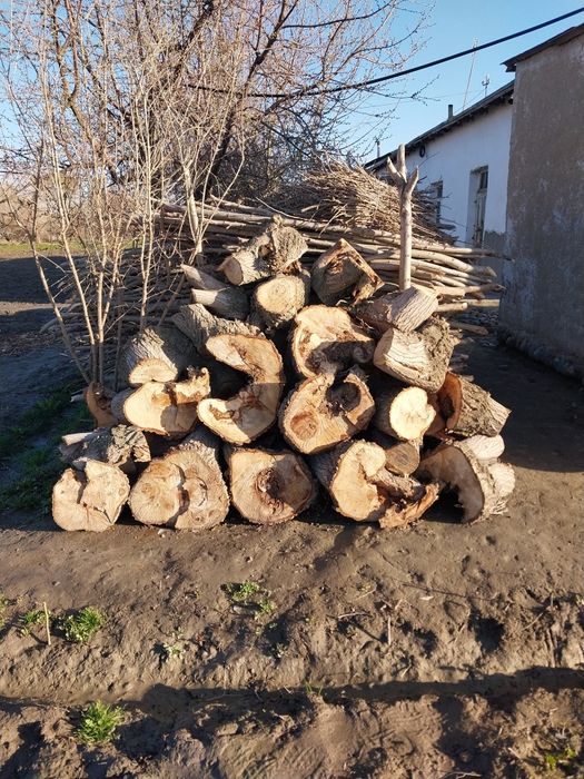 2 машина чикадиган утин бор