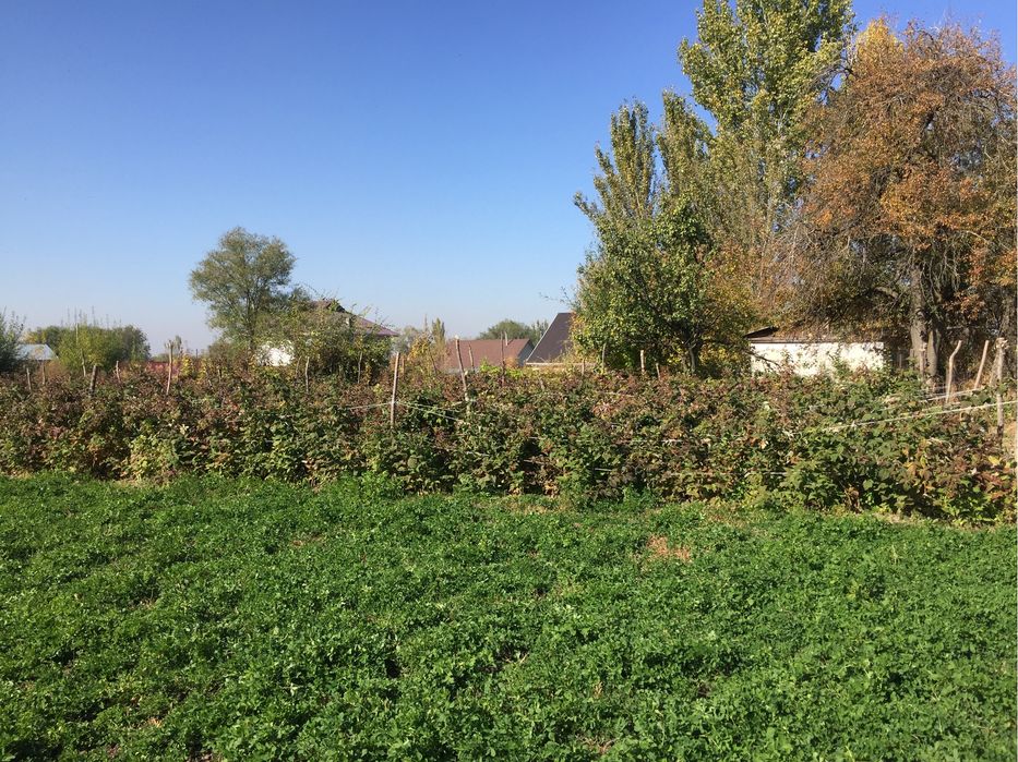 Продам дом с большим участком