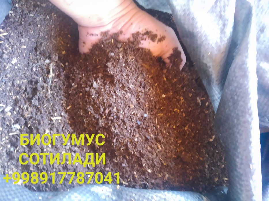 Сифатли БИОГУМУС! Чирчикда.