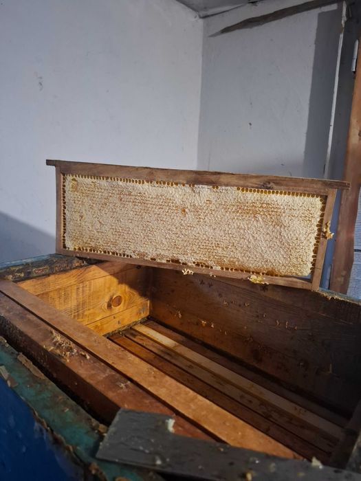 Натурален пчелен мед