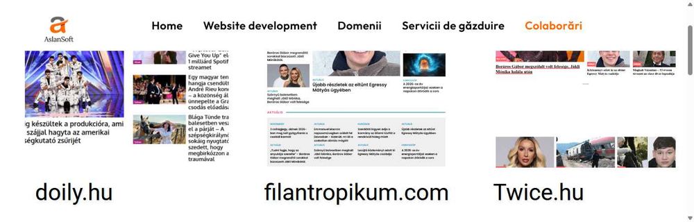 Creare website • Logo • Afișe • Pliante – AslanSoft