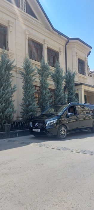 Ту'й маросим трансфер хизматлари  арзон нархда