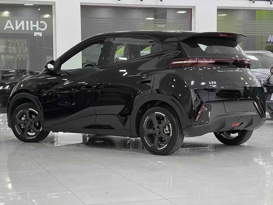 BYD Seagull pod zakaz