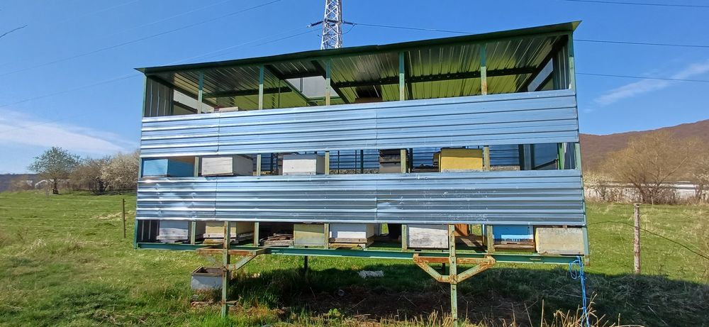 Vand pavilion apicol