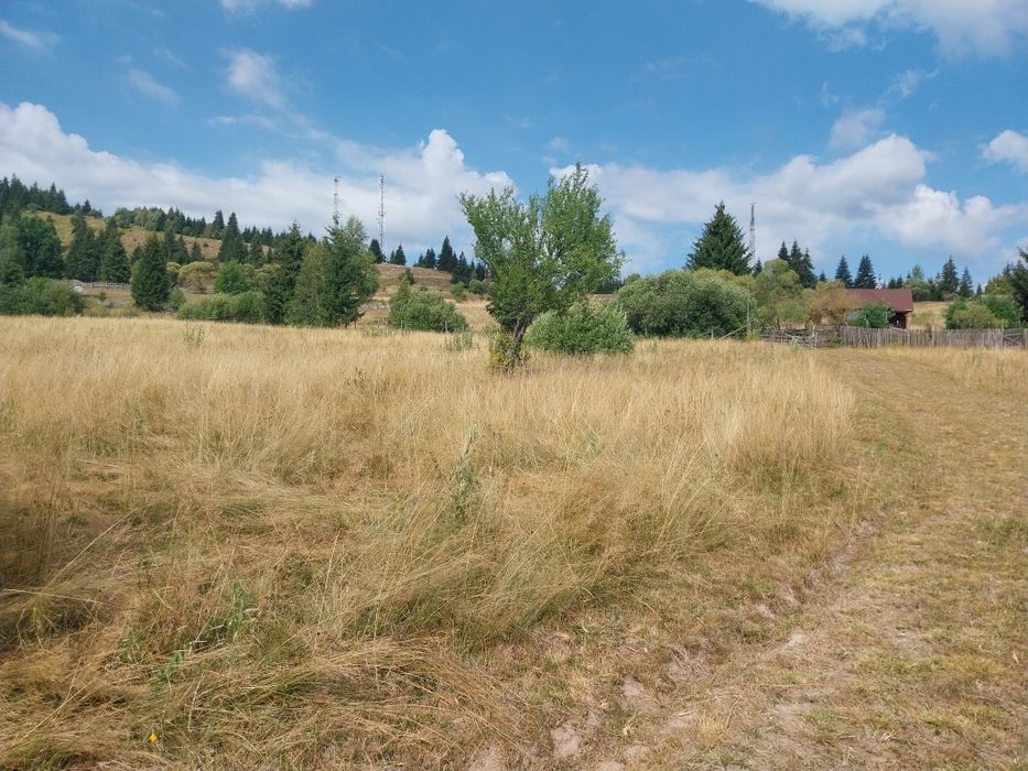 Teren intravilan Stanceni Mures