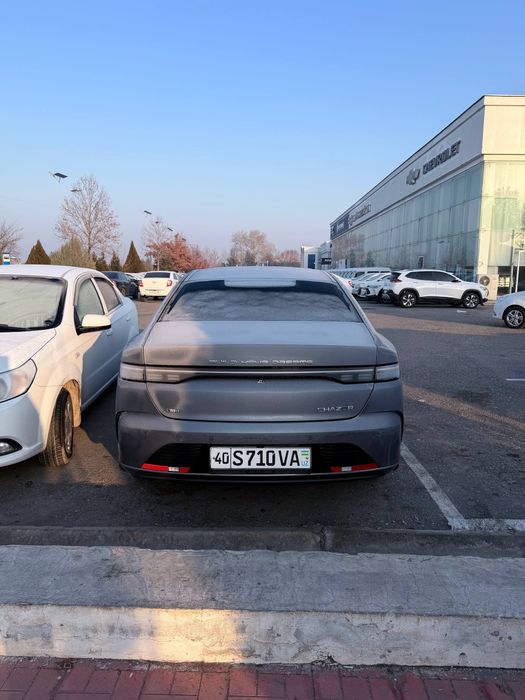 BYD Chazor 4-pozitsa flagship