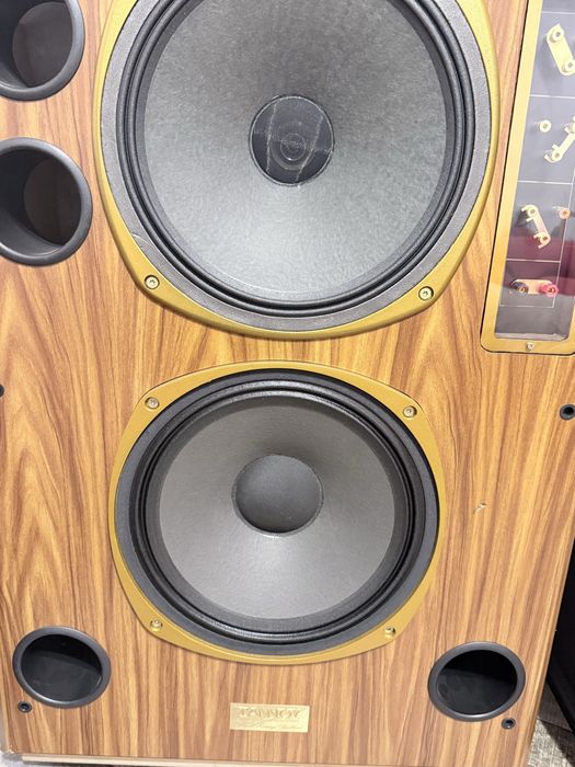 Vand sau schimb boxe Tannoy Fsm 250