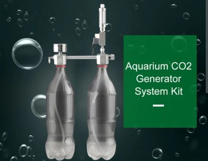 Со2 для аквариума