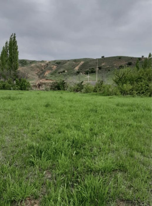 Жер сатылады.  10 соттык