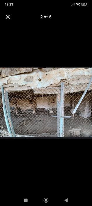 Продава се Къща в с. Дряновец, Област Разград - 90 кв.м за 108 €/кв.м - Снимка #1