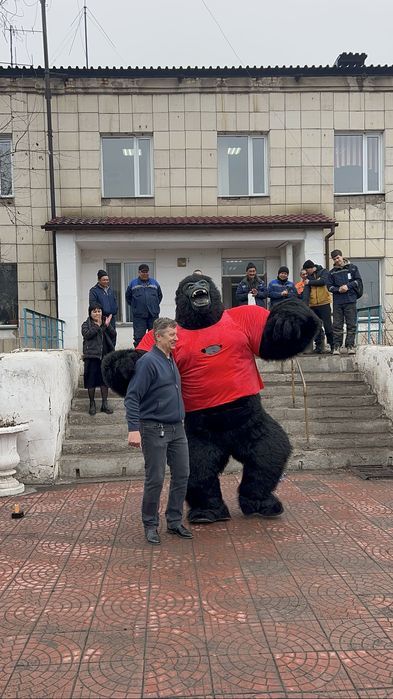 Горилла / Кинг Конг / 12 000 тг