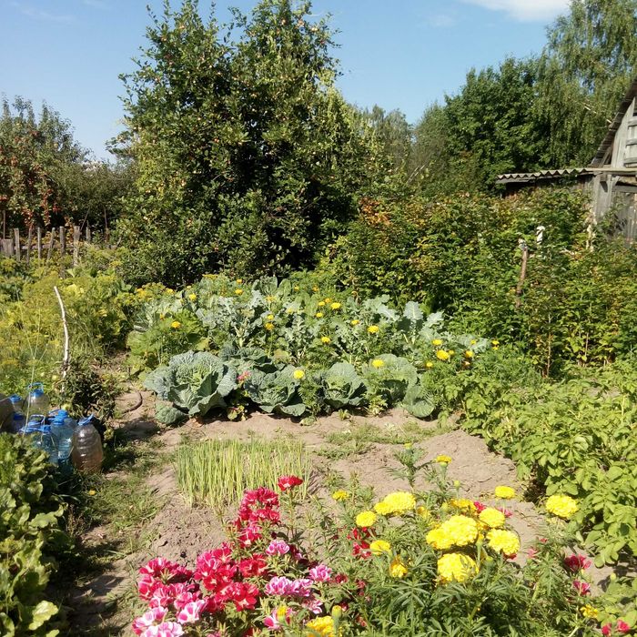 Продам дачу за Новопавловкой