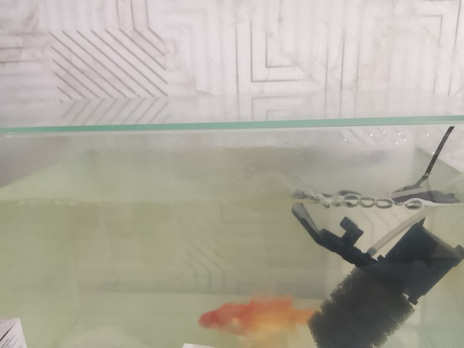 Аквариум с рыбками 20 литров