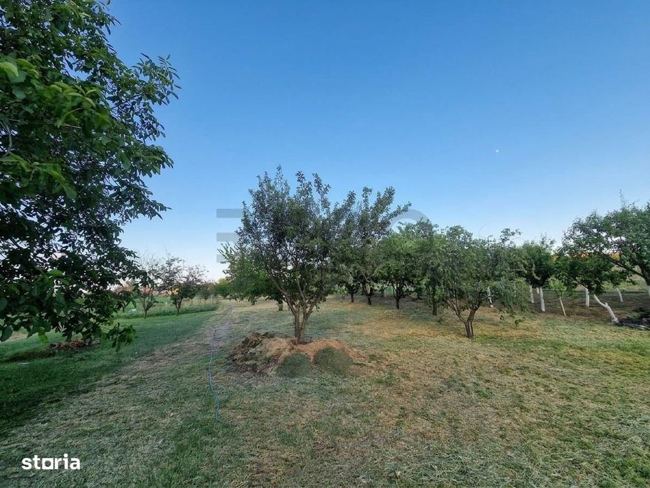 RECO Proprietate cu 2 case si teren mare in Girisu de Cris