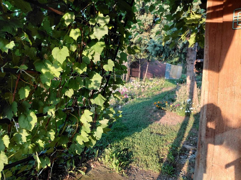 Продам дом в живописном месте!