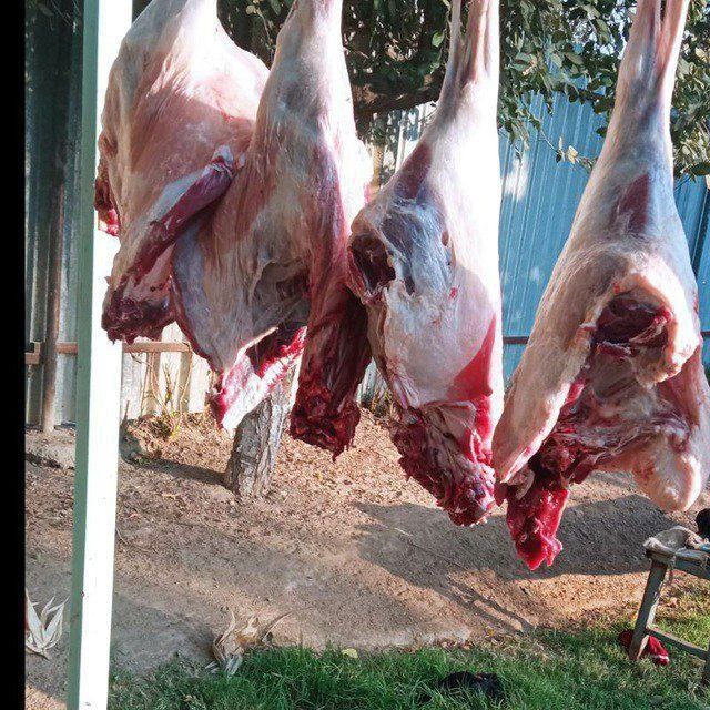 Tōy va marosimlar uchun.