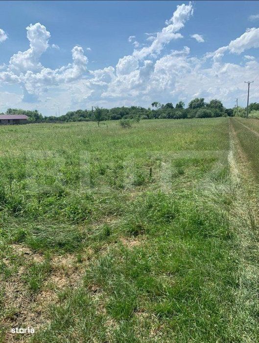 Teren Extravilan de Vanzare – 40 Ari – Strada Spicului