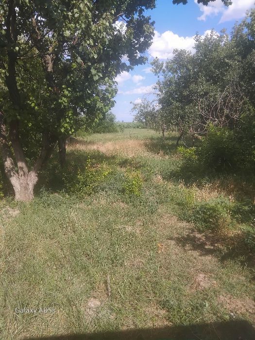 Locuri de casa în sanmartin