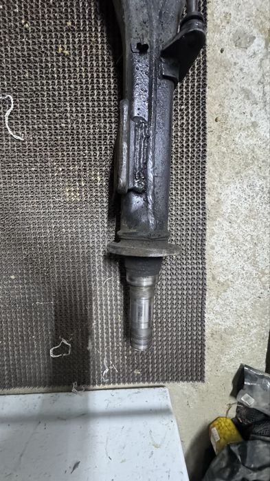 чулок для газел