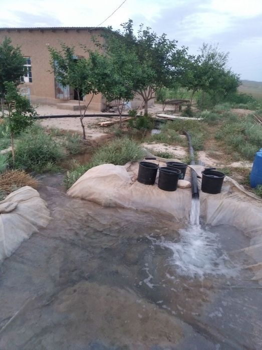 Uzumzor yerni ijaraga olish huquqi sotiladi