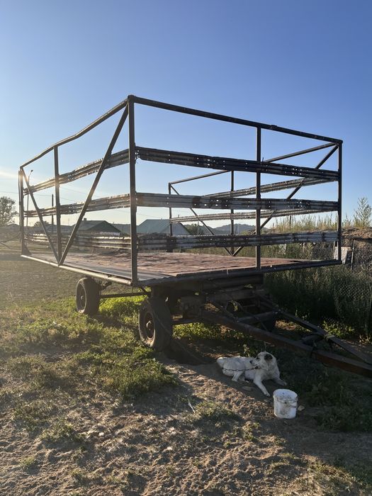 Трактор МТЗ 80..