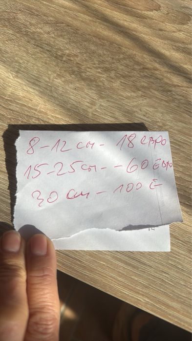 Риба кой японски ларан размери различни 8,10,25,25