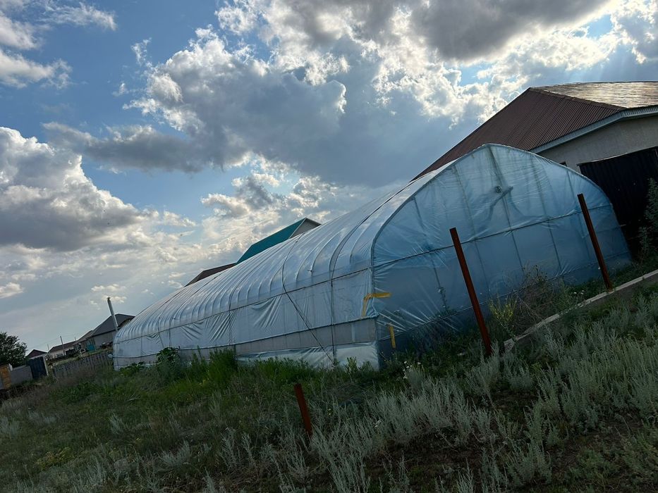 Т Е П Л И Ц А ..