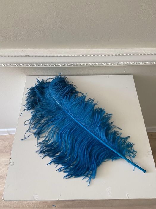 Страусиное перо, декор