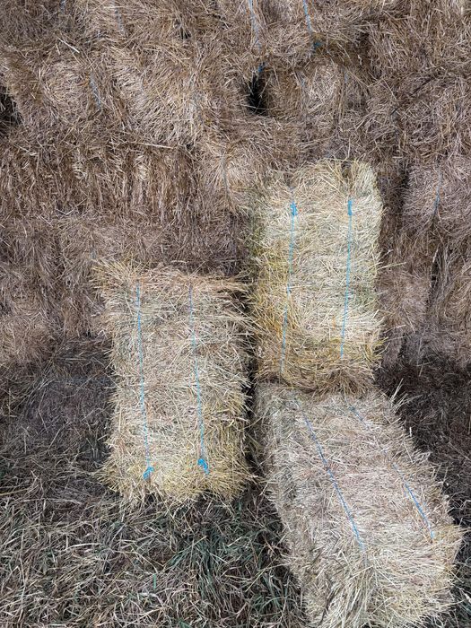 Baloți de fân de semănătură și coastă