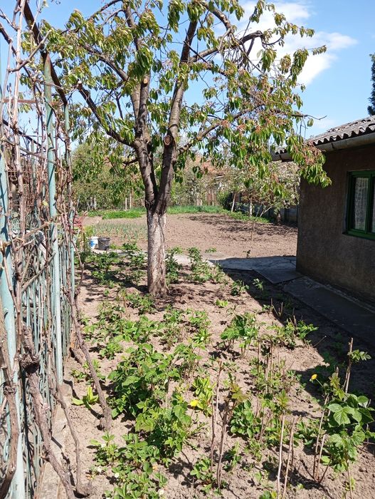 Casă de vânzare locuibila