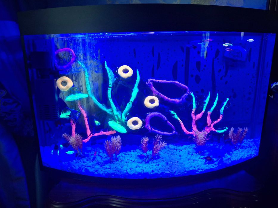 Аквариум с рыбами