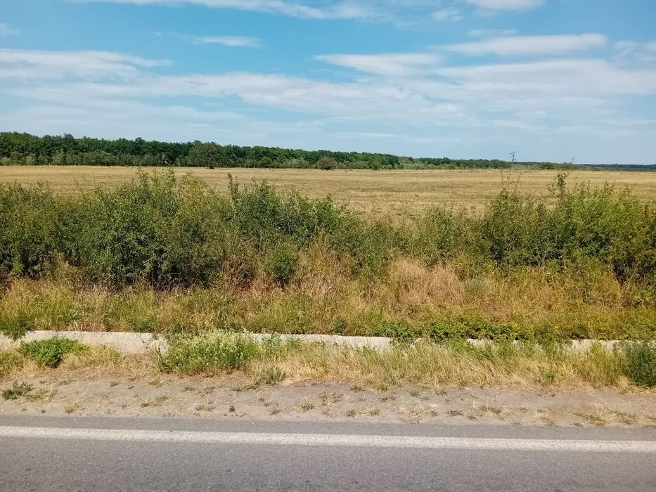 Teren extravilan front mare la șosea
