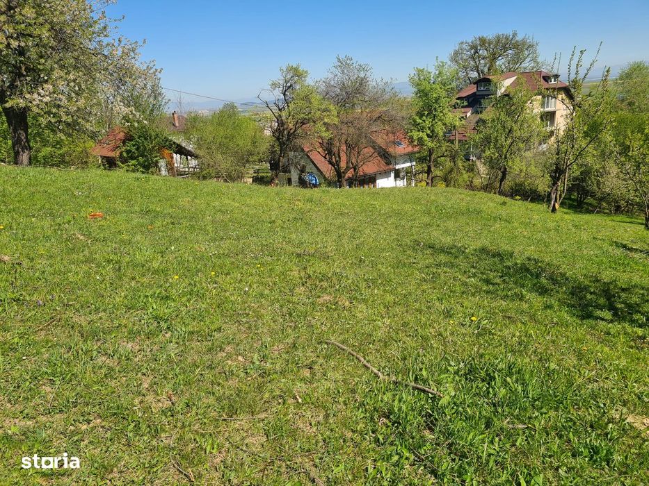 Teren deosebit - 1500 mp, Poiana Angelescu, Str. Livezii