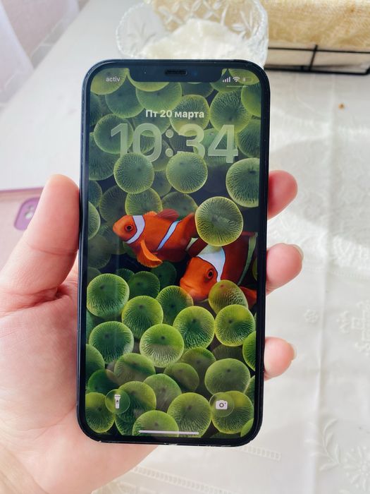 Iphone 12 не дорого
