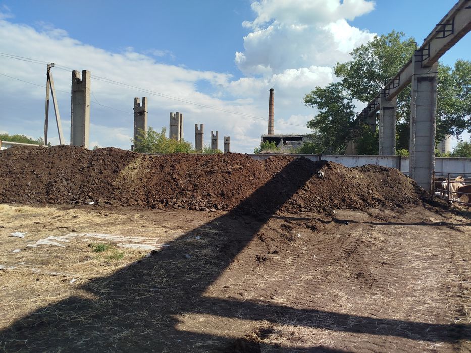 Отдам навоз конский