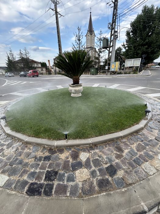 Servicii amenajari spatii verzi