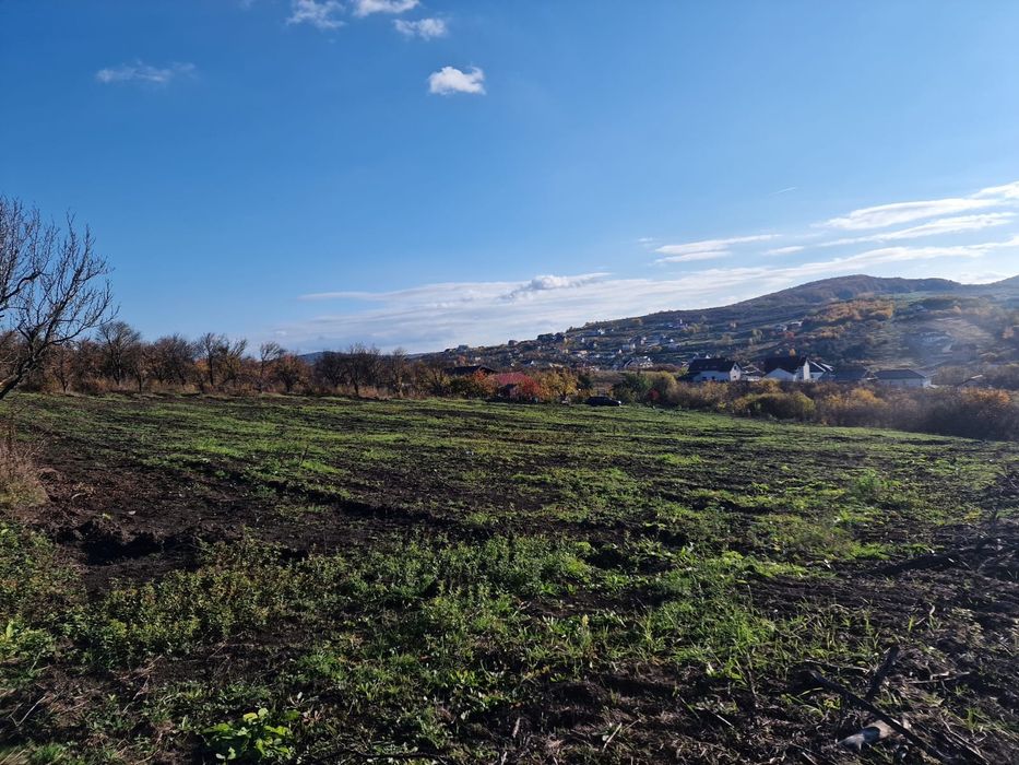 Teren intravilan Bistrita