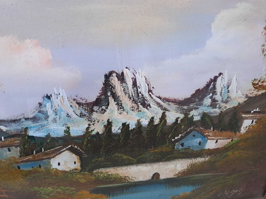 tablou pictura pe panza 60/50 cm semnat