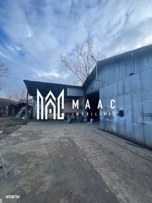 Hala | 380 MP | Teren 800 MP