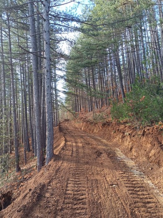 Услуги с Булдозер, изкопни дейности и транспортни услуги.