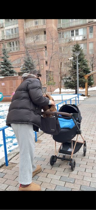 Cibex mios коляска детская